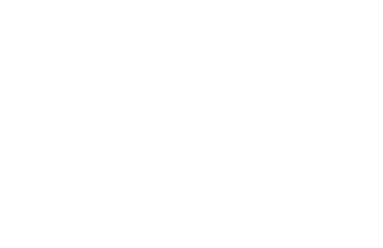 Weseloh Carney & Company LLC